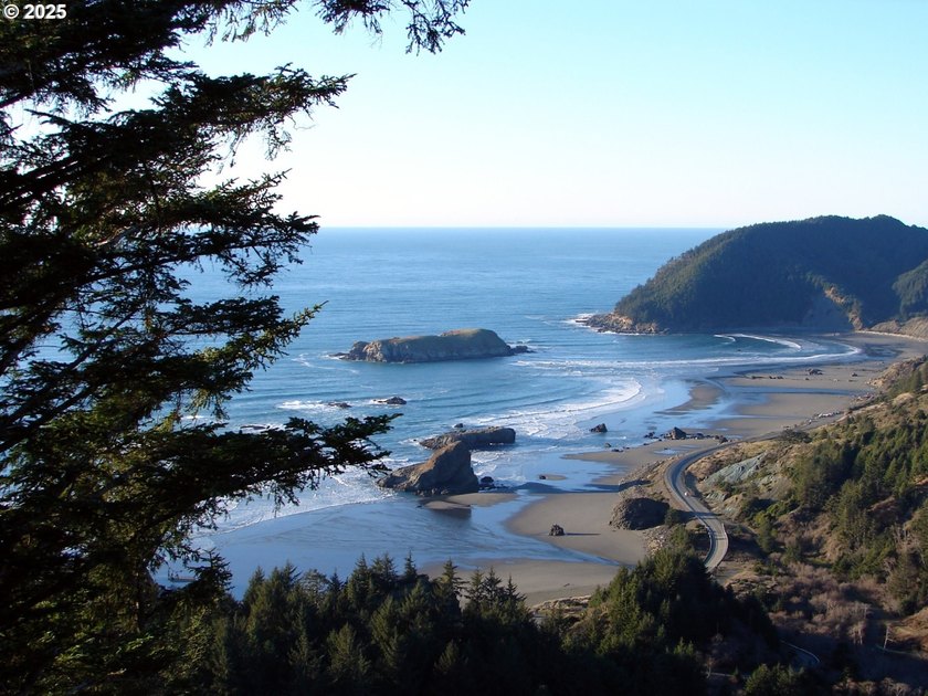 EXQUISITE PISTOL RIVER OCEAN VIEW ESTATE FOR THOSE WITH - photo 6