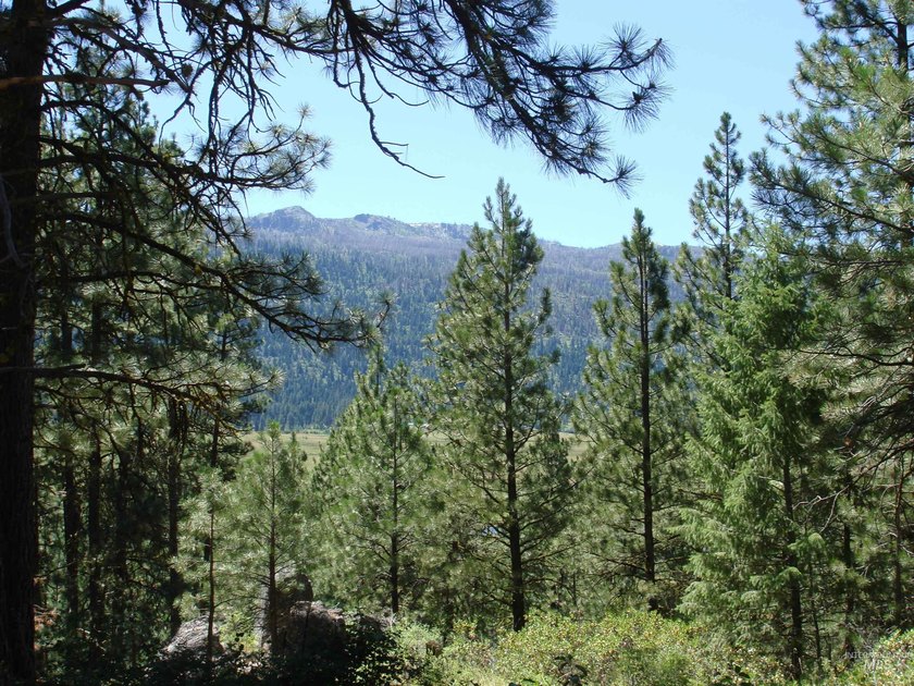Get-away from it all with a filtered view of beautiful Cascade - photo 13