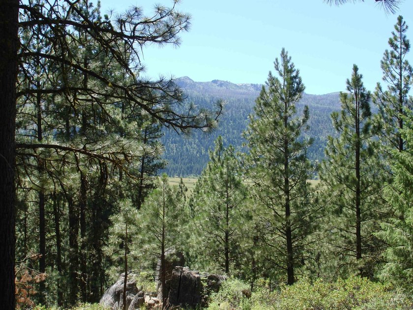 Get-away from it all with a filtered view of beautiful Cascade - photo 18