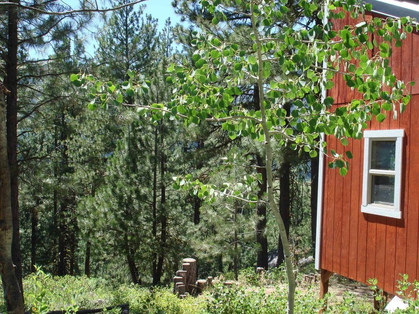 Get-away from it all with a filtered view of beautiful Cascade - photo 22