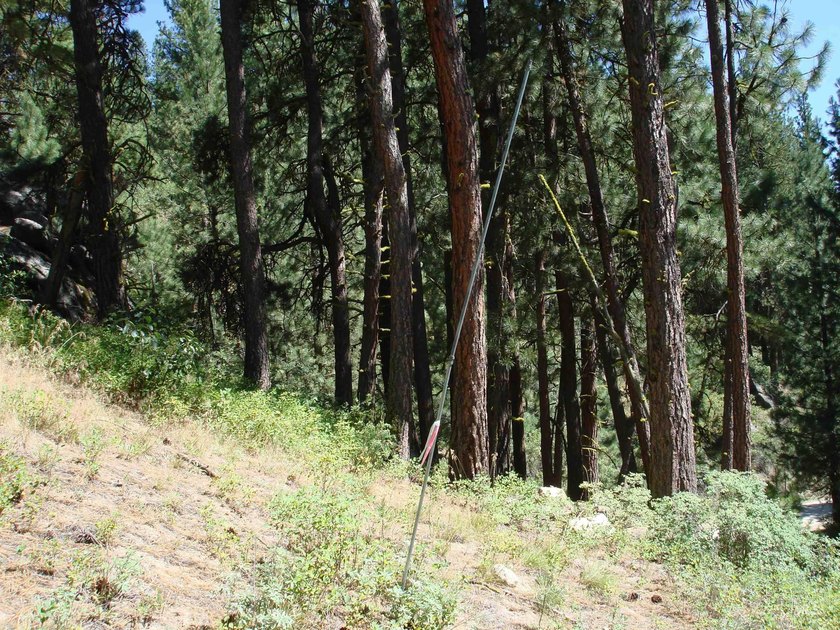 Get-away from it all with a filtered view of beautiful Cascade - photo 25