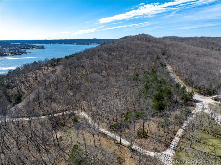 5.7 Acres that is wooded and a great parcel for your Lake View - photo 11