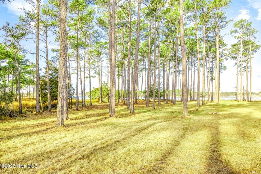 There's simply nothing like this peninsula view. 241 Oyster - photo 11