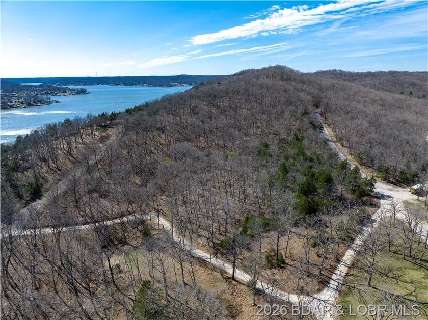 5.7 Acres that is wooded and a great parcel for your Lake View - photo 11