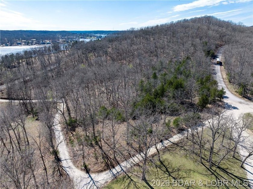 5.7 Acres that is wooded and a great parcel for your Lake View - photo 12