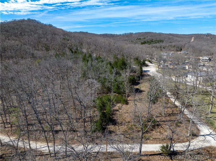 5.7 Acres that is wooded and a great parcel for your Lake View - photo 13