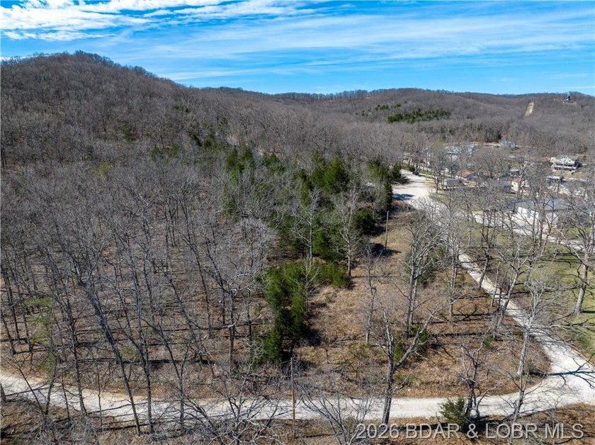 5.7 Acres that is wooded and a great parcel for your Lake View - photo 13