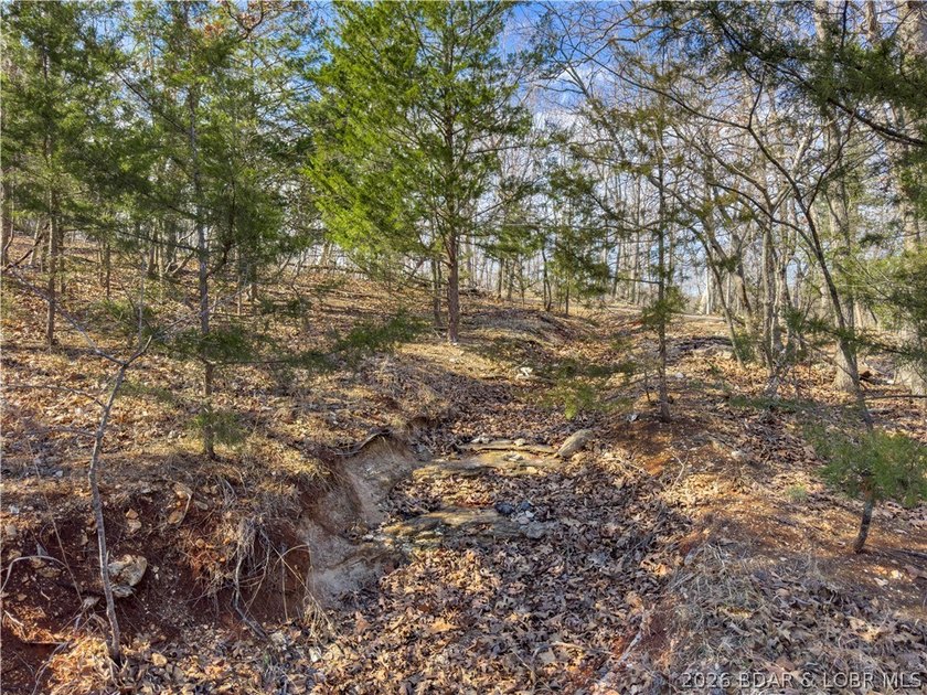 5.7 Acres that is wooded and a great parcel for your Lake View - photo 14