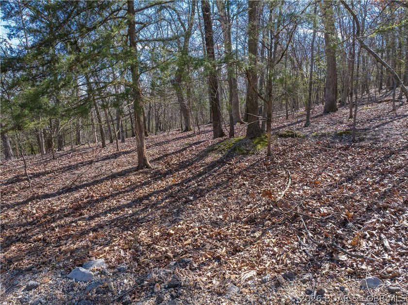 5.7 Acres that is wooded and a great parcel for your Lake View - photo 16