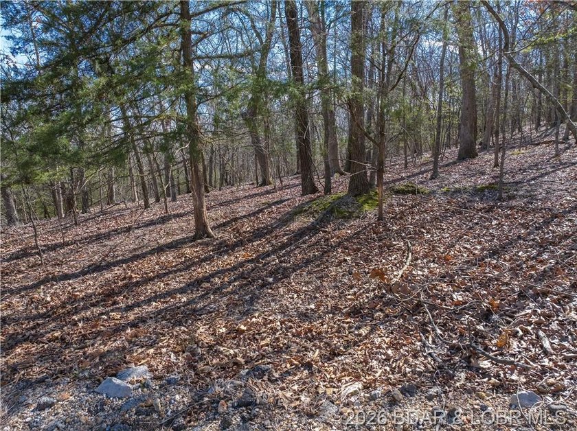5.7 Acres that is wooded and a great parcel for your Lake View - photo 16