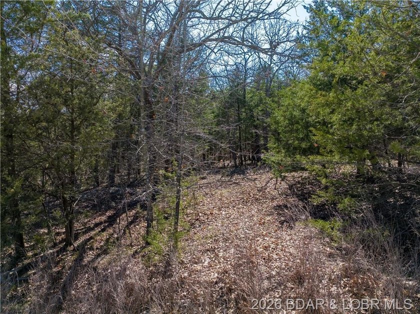 5.7 Acres that is wooded and a great parcel for your Lake View - photo 18