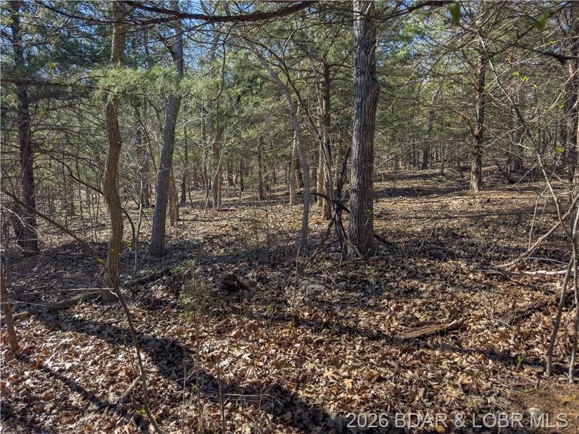 5.7 Acres that is wooded and a great parcel for your Lake View - photo 19