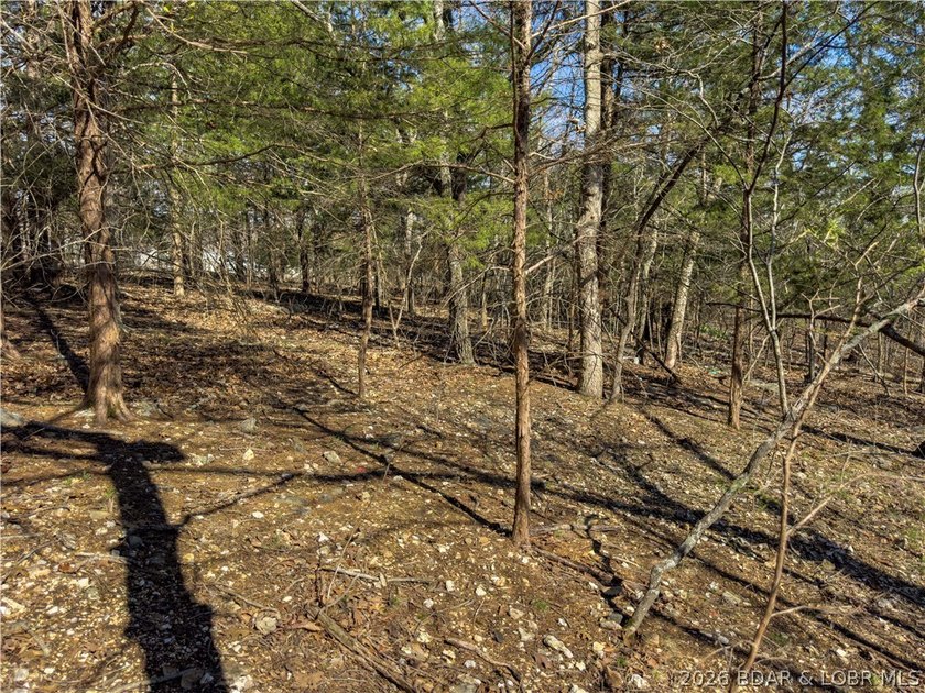5.7 Acres that is wooded and a great parcel for your Lake View - photo 20