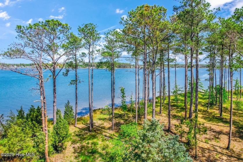 There's simply nothing like this peninsula view. 241 Oyster - photo 20