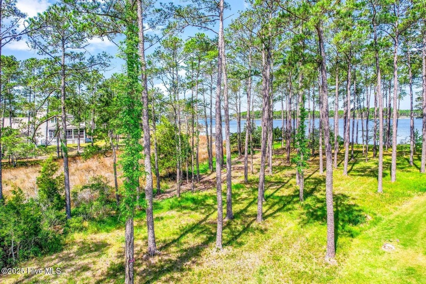 There's simply nothing like this peninsula view. 241 Oyster - photo 21