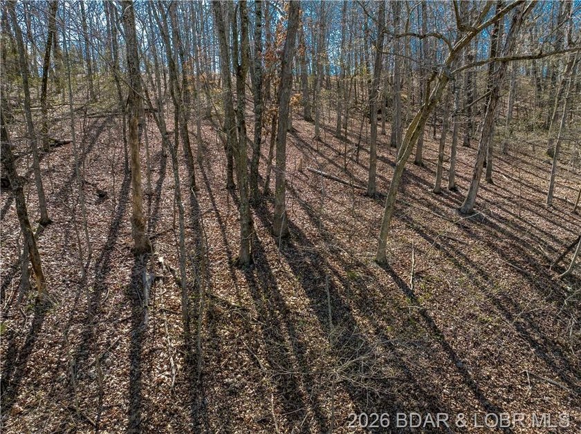 5.7 Acres that is wooded and a great parcel for your Lake View - photo 21