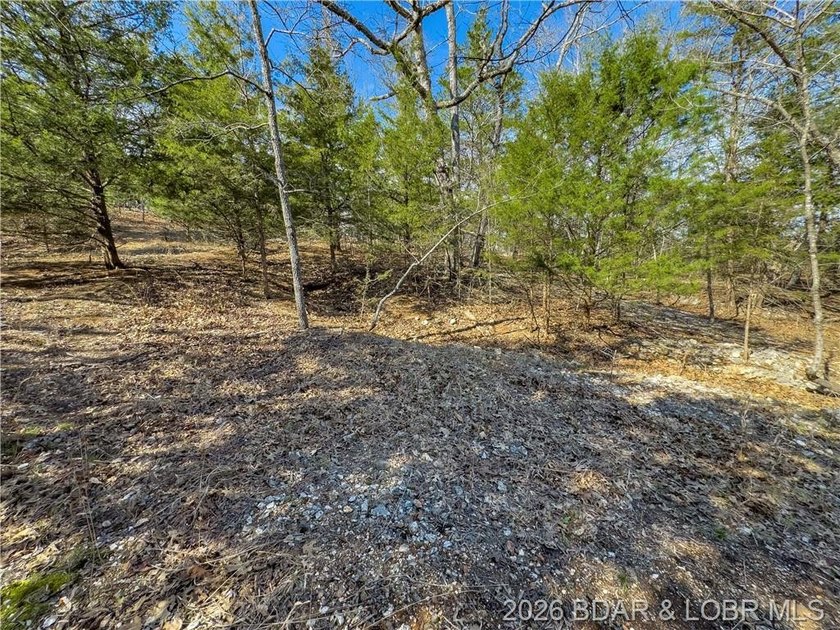 5.7 Acres that is wooded and a great parcel for your Lake View - photo 22