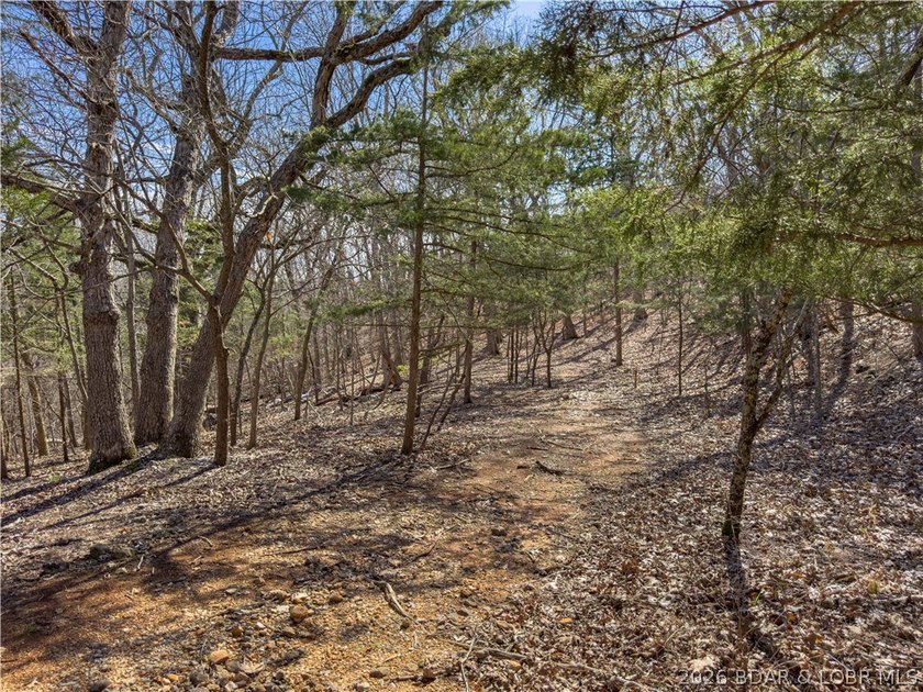 5.7 Acres that is wooded and a great parcel for your Lake View - photo 23