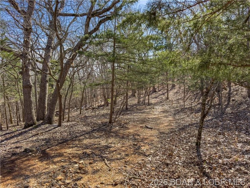 5.7 Acres that is wooded and a great parcel for your Lake View - photo 23