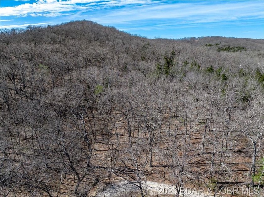 5.7 Acres that is wooded and a great parcel for your Lake View - photo 24