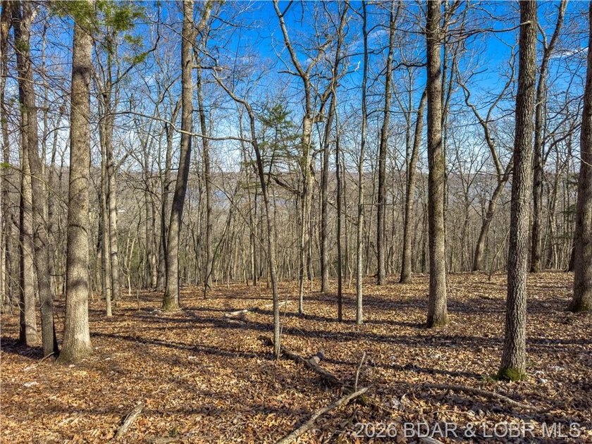 5.7 Acres that is wooded and a great parcel for your Lake View - photo 25