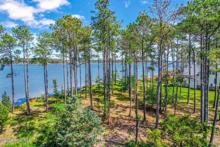 There's simply nothing like this peninsula view. 241 Oyster - photo 31