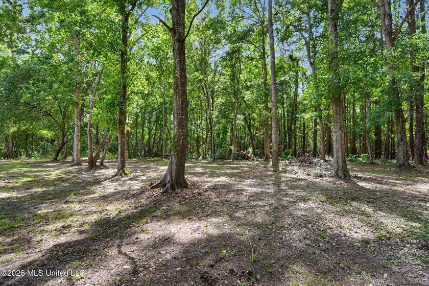 ***BUILD YOUR DREAM HOME HERE...Tucked away on approximately 3 - photo 10