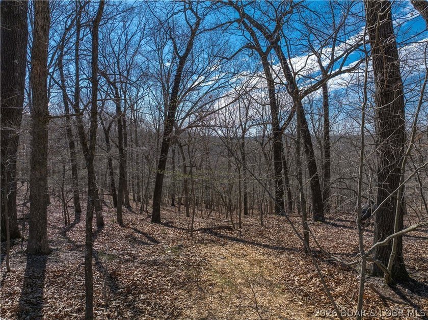 14.9 wooded Acres on paved road. Private and peaceful acreage - photo 11