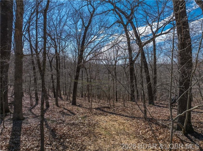 14.9 wooded Acres on paved road. Private and peaceful acreage - photo 11
