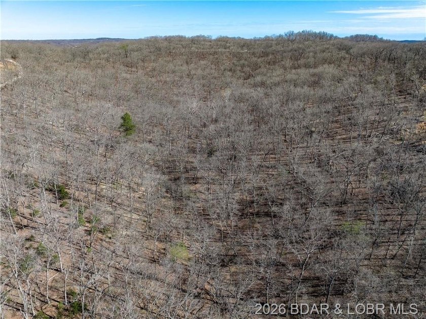 14.9 wooded Acres on paved road. Private and peaceful acreage - photo 12