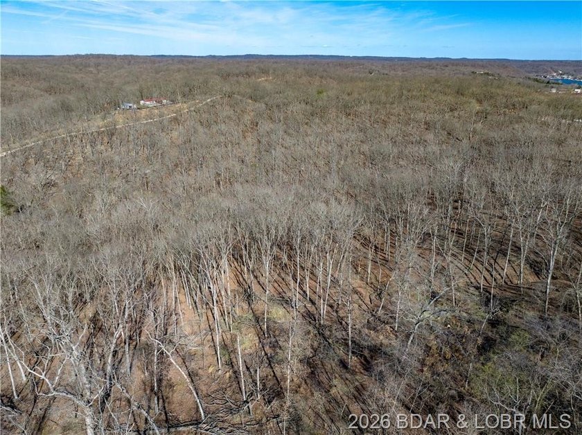14.9 wooded Acres on paved road. Private and peaceful acreage - photo 13