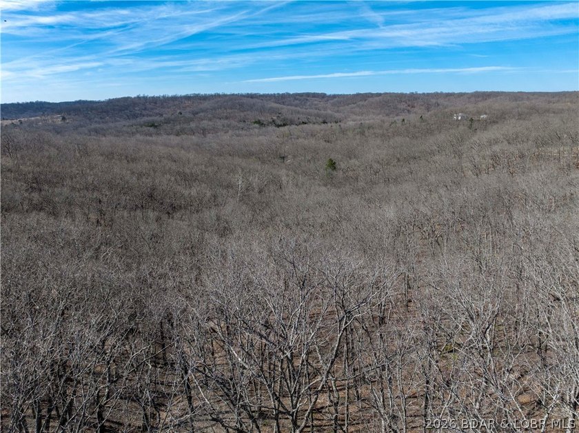 14.9 wooded Acres on paved road. Private and peaceful acreage - photo 17