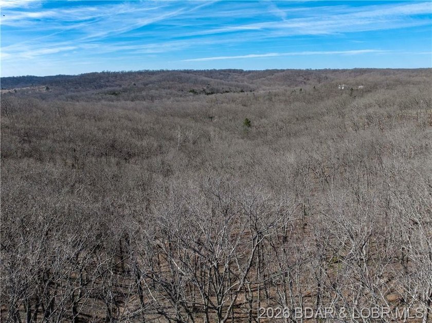 14.9 wooded Acres on paved road. Private and peaceful acreage - photo 17