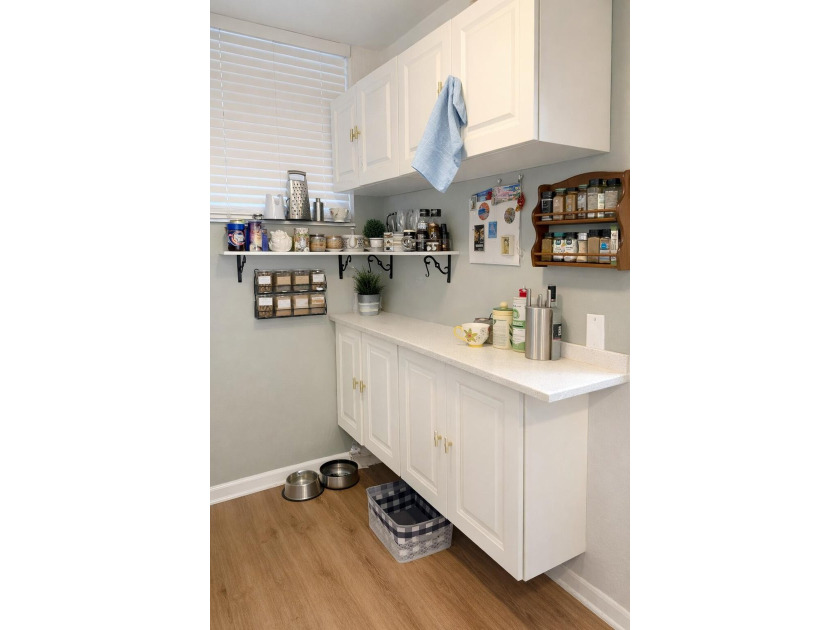 Income-producing opportunity with a tenant in place through - photo 17