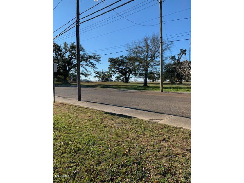 TWO BLOCKS FROM THE BEACH. Nice buildable lot. Great location - photo 3