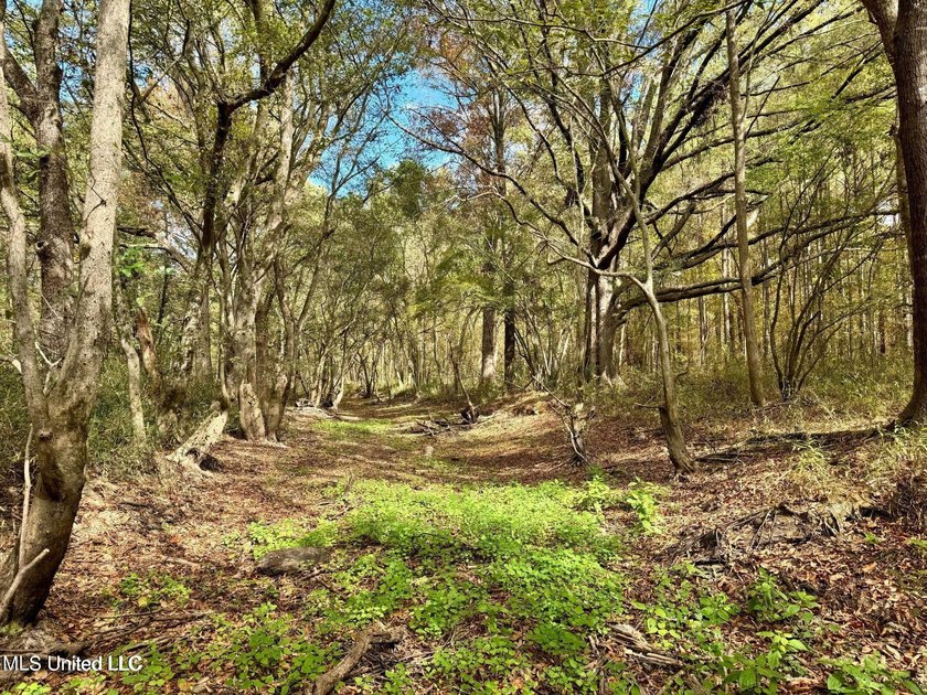 Wait, what?! Yep... this is a rare opportunity to own 102 acres - photo 15