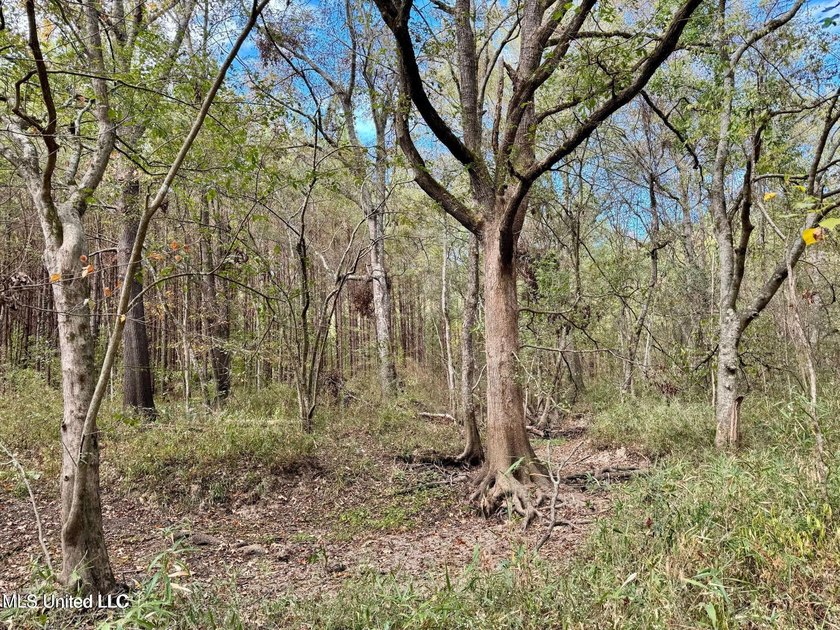 Wait, what?! Yep... this is a rare opportunity to own 102 acres - photo 17