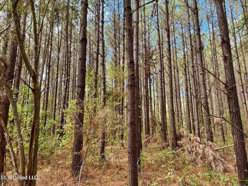 Wait, what?! Yep... this is a rare opportunity to own 102 acres - photo 18
