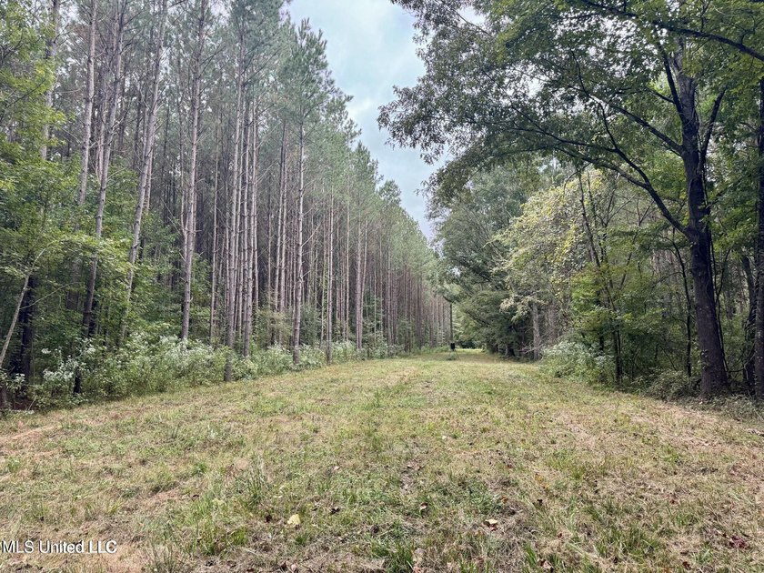 Wait, what?! Yep... this is a rare opportunity to own 102 acres - photo 20