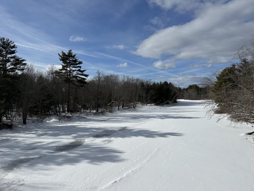 40 pristine wooded acres located in Parsonsfield on RT 160 with - photo 22