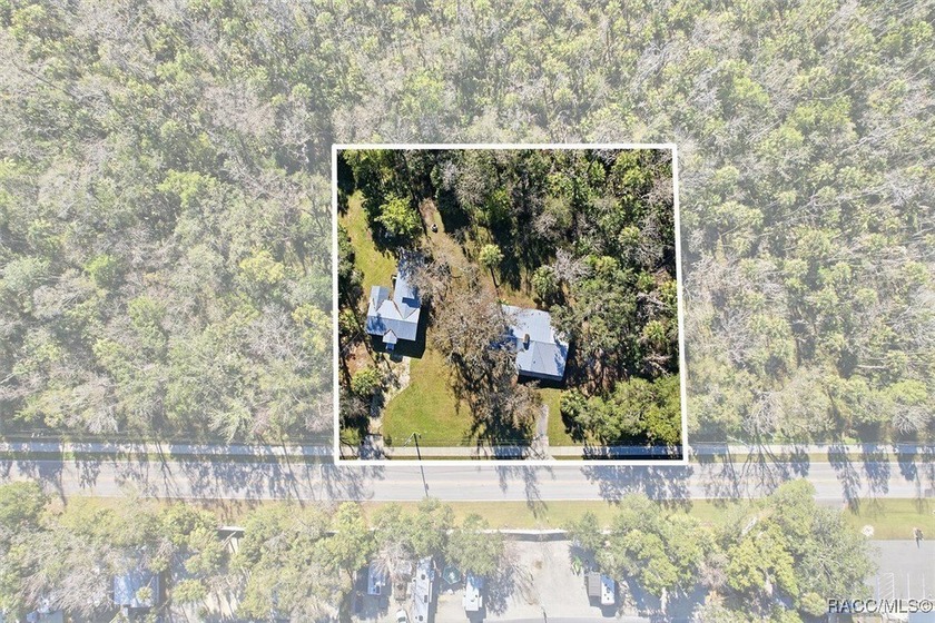 TWO FOR ONE! Set on a full acre in the heart of Old Homosassa - photo 3