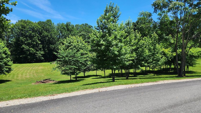 Discovery the perfect opportunity to build your dream home or - photo 16