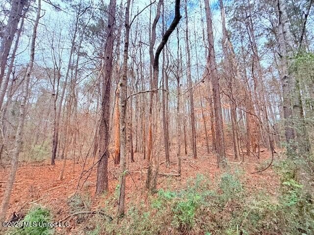 42 Acres of wooded creek front property located on Busy Corner - photo 11