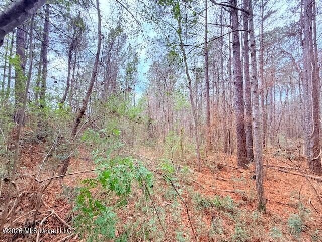 42 Acres of wooded creek front property located on Busy Corner - photo 12