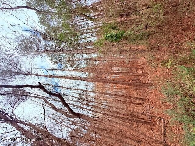 42 Acres of wooded creek front property located on Busy Corner - photo 13