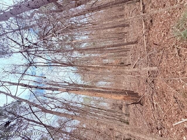 42 Acres of wooded creek front property located on Busy Corner - photo 14