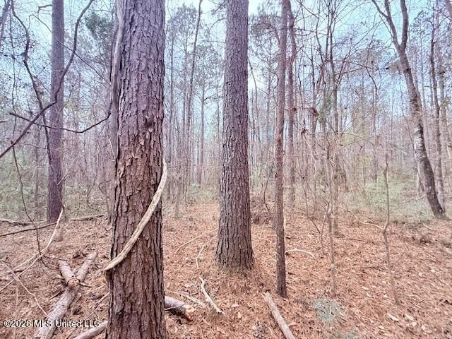 42 Acres of wooded creek front property located on Busy Corner - photo 15