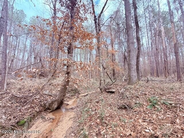 42 Acres of wooded creek front property located on Busy Corner - photo 16