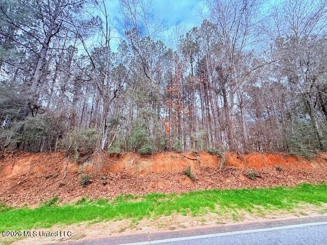 42 Acres of wooded creek front property located on Busy Corner - photo 25