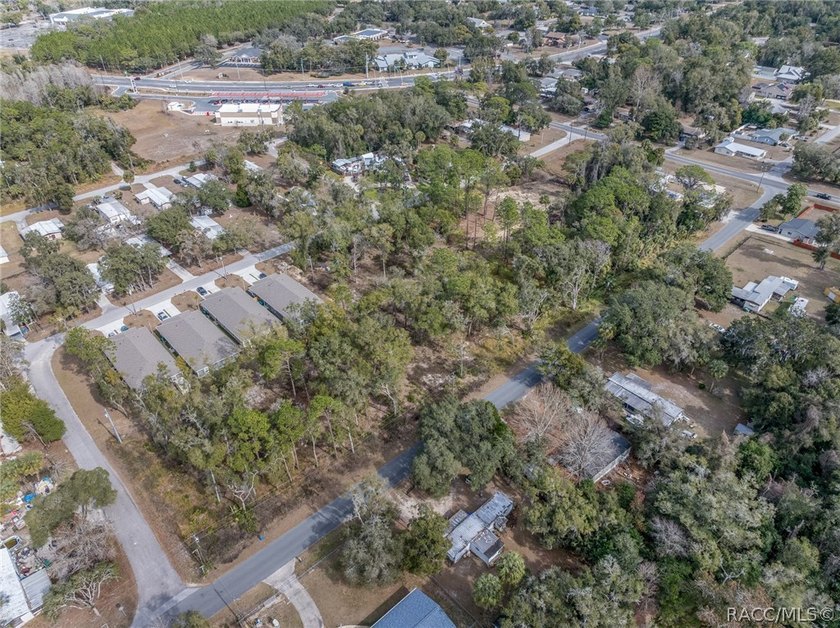 4 DUPLEXES. PLUS 41 Buildable Lots with water and private sewer - photo 21